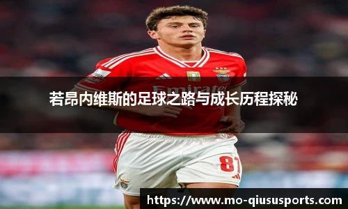 若昂内维斯的足球之路与成长历程探秘