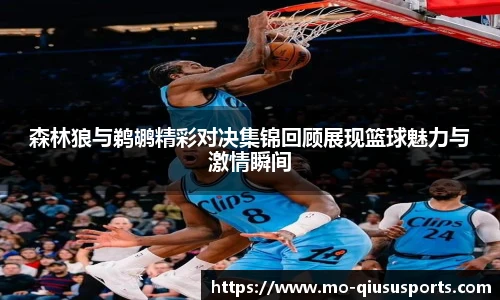 球速体育官方